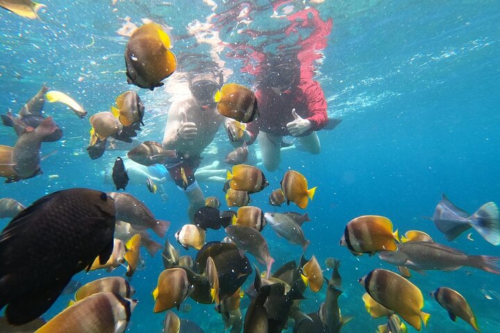 Nusa Penida Snorkeling and Island Tour Package - Image 1