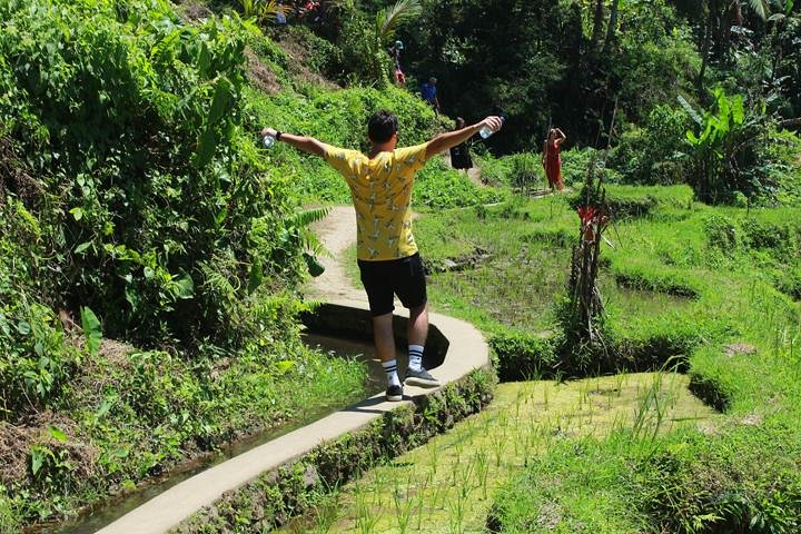 Perfect Day Trip to Ubud  - Image 4