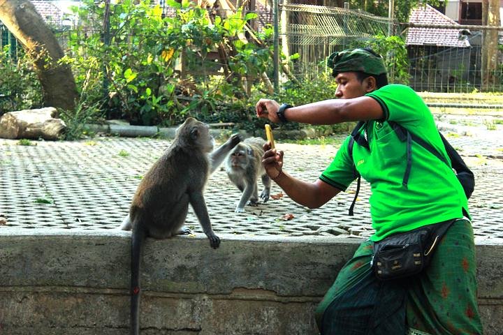 Perfect Day Trip to Ubud  - Image 3