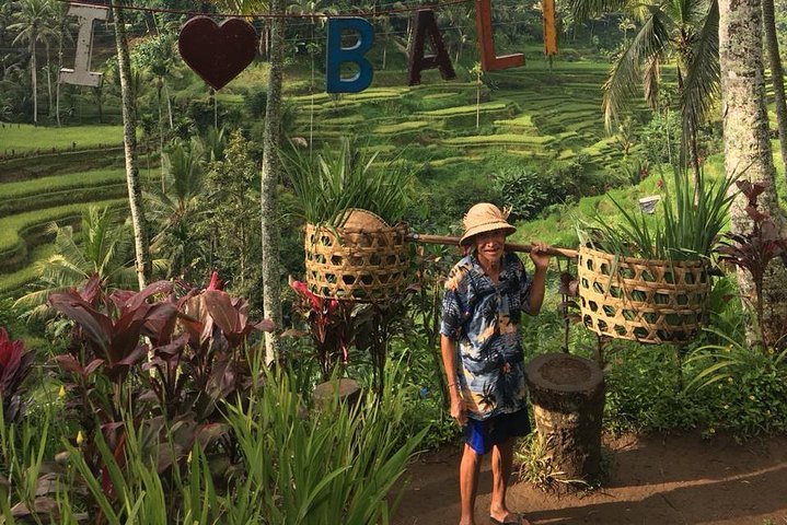 Point View of Kintamani Vulcano and Ubud Tour - Image 2
