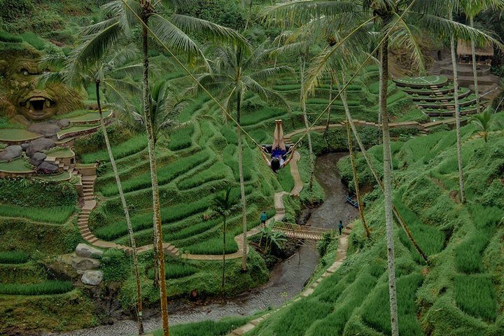 Private 4-Day Tours - Best Bali Tours Package - Best of Bali Highlights - Image 5