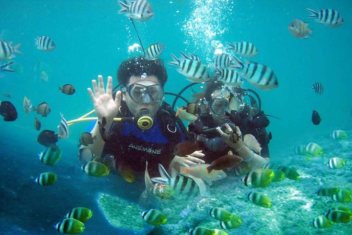 Private Adventure - Nusa Dua Dive - Image 1