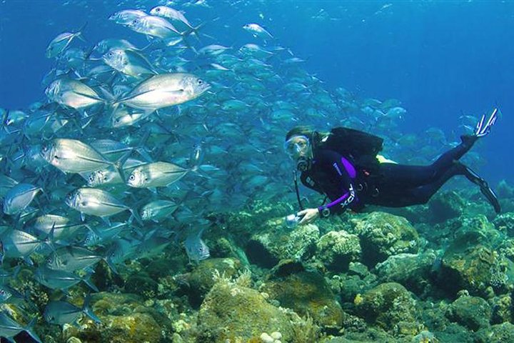 Private Adventure - Nusa Dua Dive - Image 5