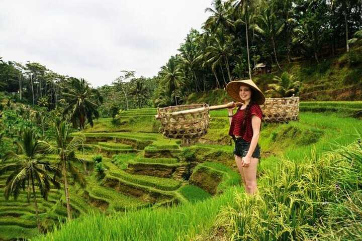 Private Bali Tour - All Inclusive  - Image 1