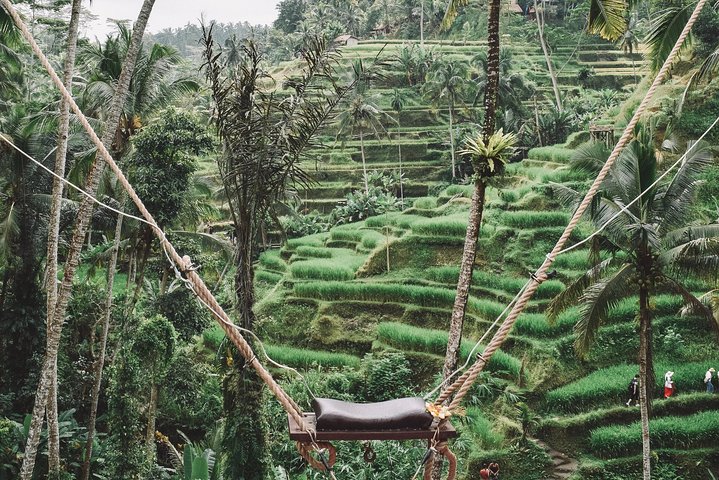 Private Customised Ubud Tour - Image 2