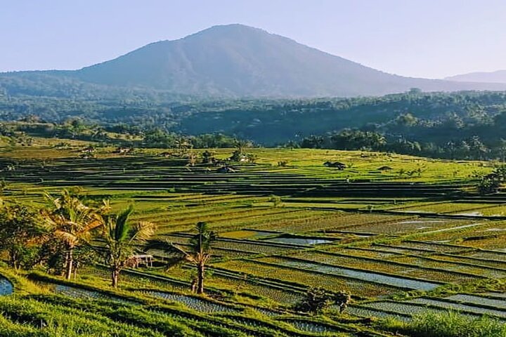 Private Full Day Enjoy Bedugul, and Jatiluwih Rice Terrace - Image 2