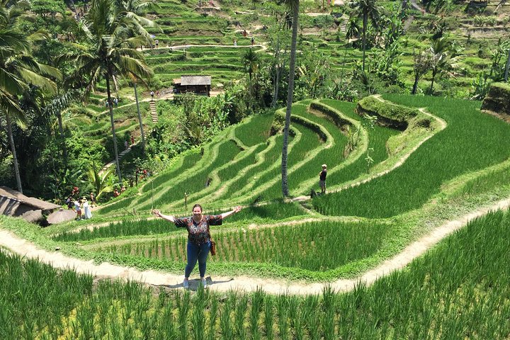 Private Full-Day Tour: Balinese Ubud Temples and Sacred Monkey Forest - Image 5