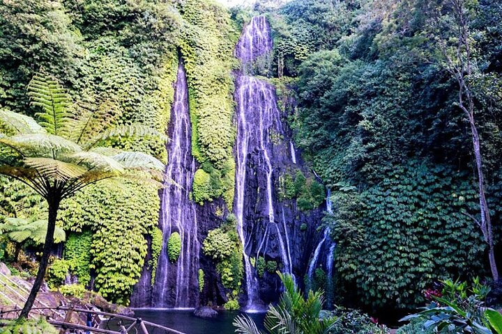 Private Full Day Trip Bayumala Beautiful Waterfall And Bedugul - Image 1