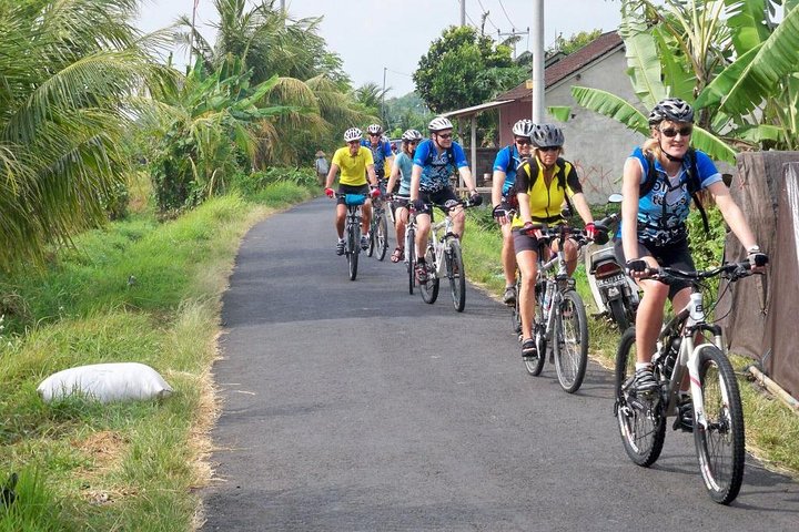 Private Mountain Cycling Adventure in Bali: Kintamani to Ubud - Image 1