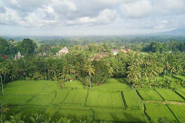Private Mountain Cycling Adventure in Bali: Kintamani to Ubud - Image 5