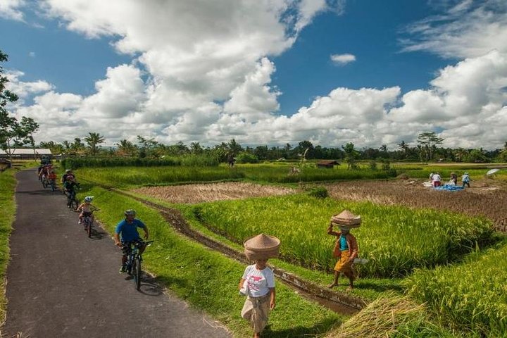 Private Mountain Cycling Adventure in Bali: Kintamani to Ubud - Image 3