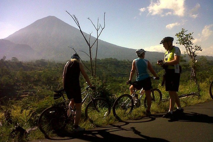 Private Mountain Cycling Adventure in Bali: Kintamani to Ubud - Image 4