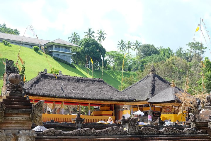 Private Shore Excursion: Bali Cultural Tour Including Tegalalang Rice Terraces and Tirta Empul Temple - Image 2