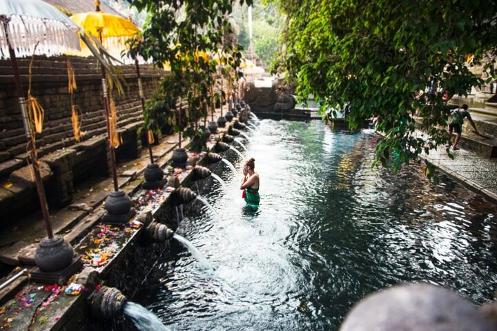 Private Shore Excursion: Highlights of Bali - Image 1