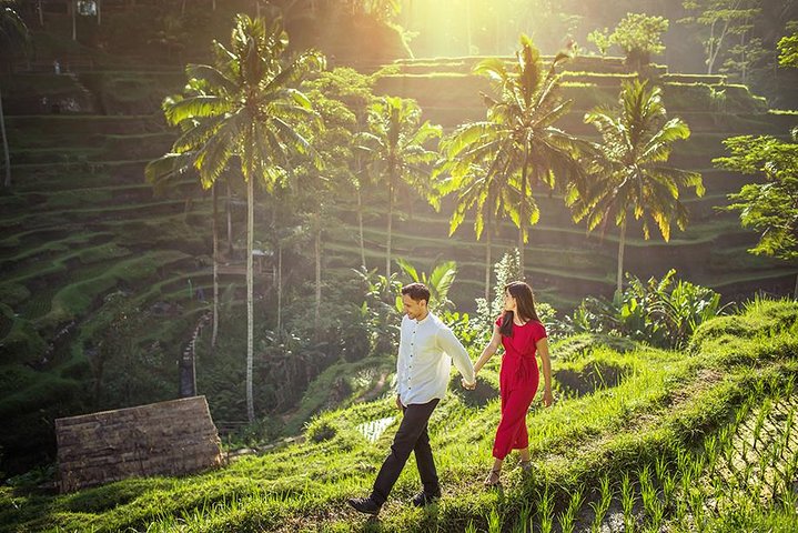 Private Shore Excursion: Ubud Highlights Tour - Image 3