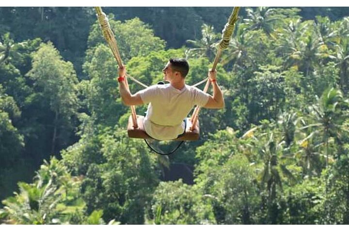 Private Tour Bali Swing & Visiting Temples in Bali - Image 1