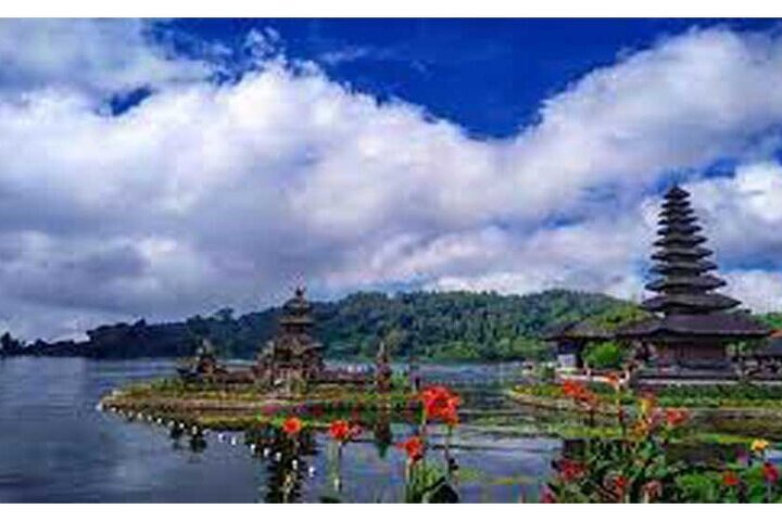Private Tour Bali Swing & Visiting Temples in Bali - Image 2