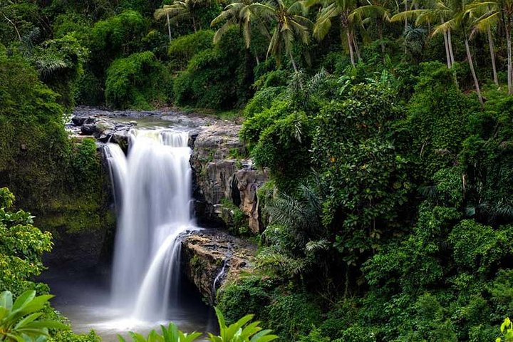Private Tour: Batuan Temple, Tegenungan Waterfall, Elepahant Cave Free transport - Image 4