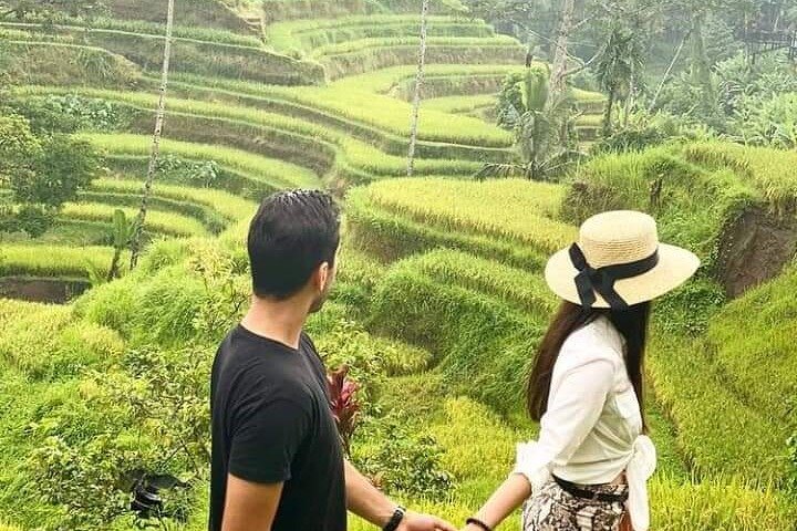 Private tour, discover the beauty of bali - Image 5