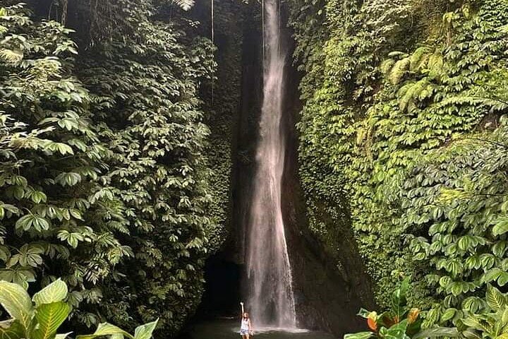 Private tour, discover the beauty of bali - Image 4