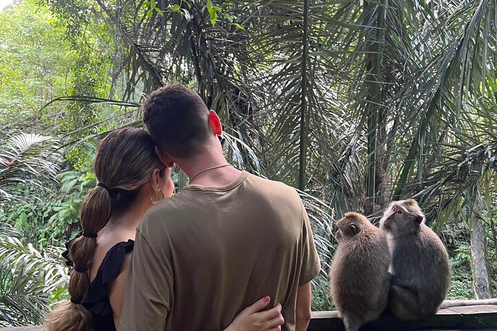 Private tour, discover the beauty of bali - Image 2