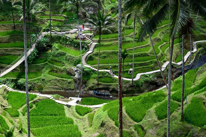 Private Tour : East Bali Highlights with Giant Swing  - Image 5