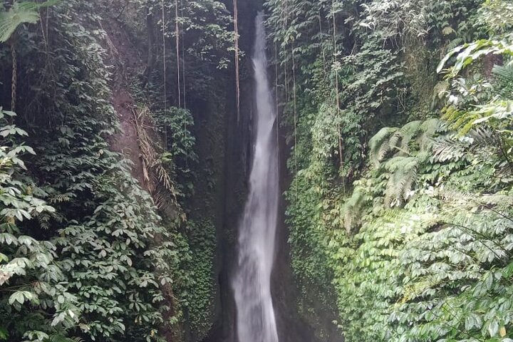 Private Tour from Leke-Leke Waterfall to Jatiluwih Rice Terrace - Image 1