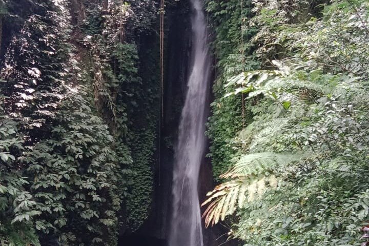 Private Tour from Leke-Leke Waterfall to Jatiluwih Rice Terrace - Image 4