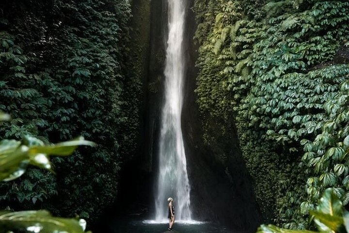 Private Tour from Leke-Leke Waterfall to Jatiluwih Rice Terrace - Image 2