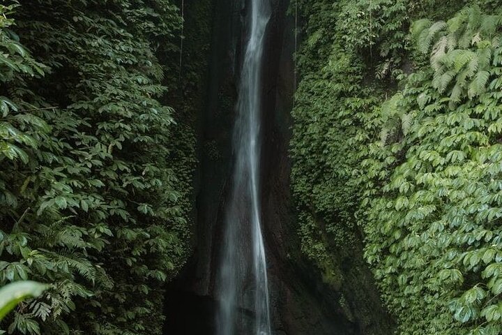 Private Tour from Leke-Leke Waterfall to Jatiluwih Rice Terrace - Image 3