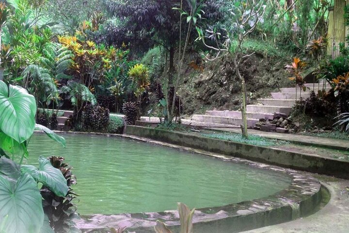 Private Tour from Leke-Leke Waterfall to Jatiluwih Rice Terrace - Image 5