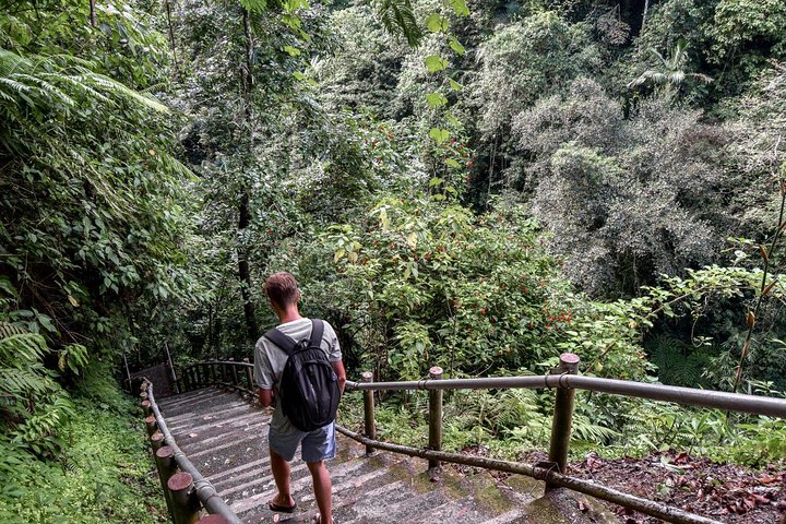 Private Tour Funtastic Nungnung Waterfall And Beratan Temple - Image 3