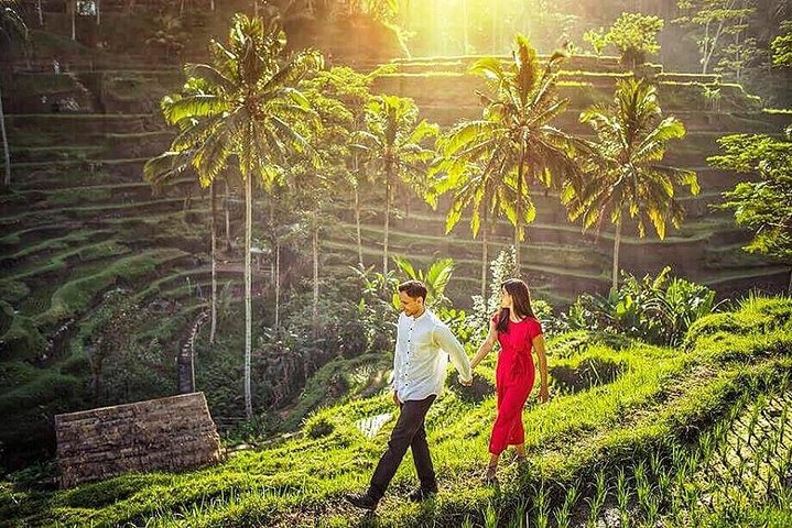 Private Tour : Highlight of Ubud with All inclusive - Image 1