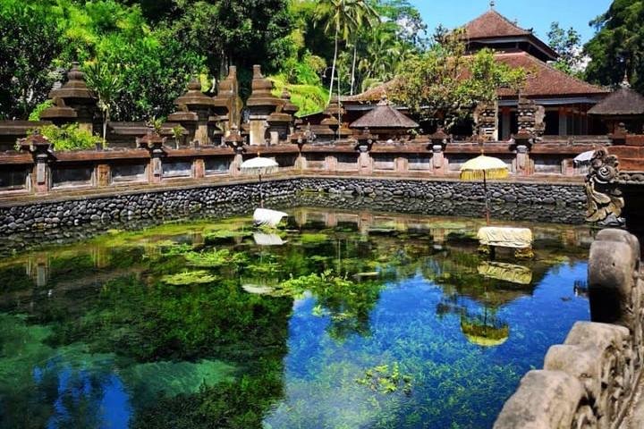 Private Tour : Highlight of Ubud with All inclusive - Image 5