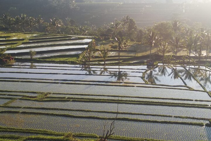 Private Tour The Beauty of Waterfall And Jatiluwih Rice Terrace  - Image 3
