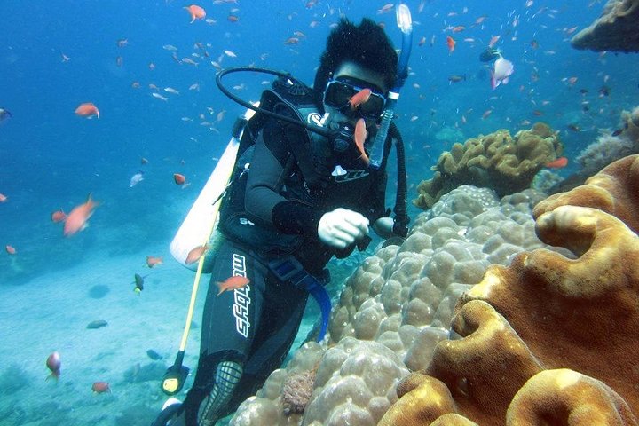 Scuba Diving - Parasailing - Banana Boat - All Inclusive with Hotel Transfer - Image 3