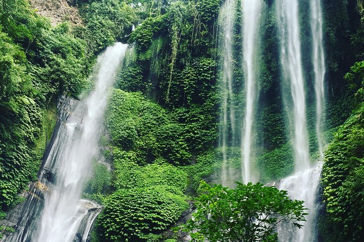 Sekumpul and Banyumala Waterfalls Hiking Tour (Private & All-Inclusive ) - Image 5
