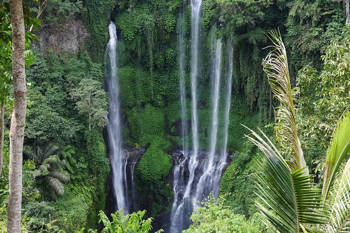 Sekumpul and Banyumala Waterfalls Hiking Tour (Private & All-Inclusive ) - Image 4