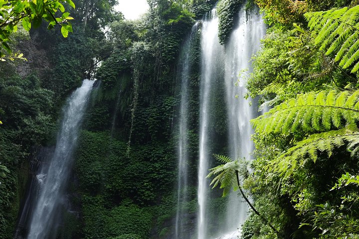 Sekumpul and Banyumala Waterfalls Hiking Tour (Private & All-Inclusive ) - Image 1