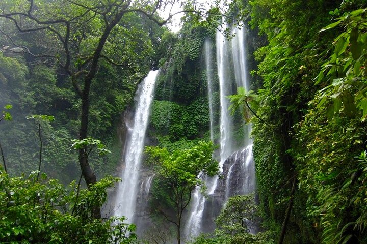 Sekumpul and Banyumala Waterfalls Hiking Tour (Private & All-Inclusive ) - Image 2