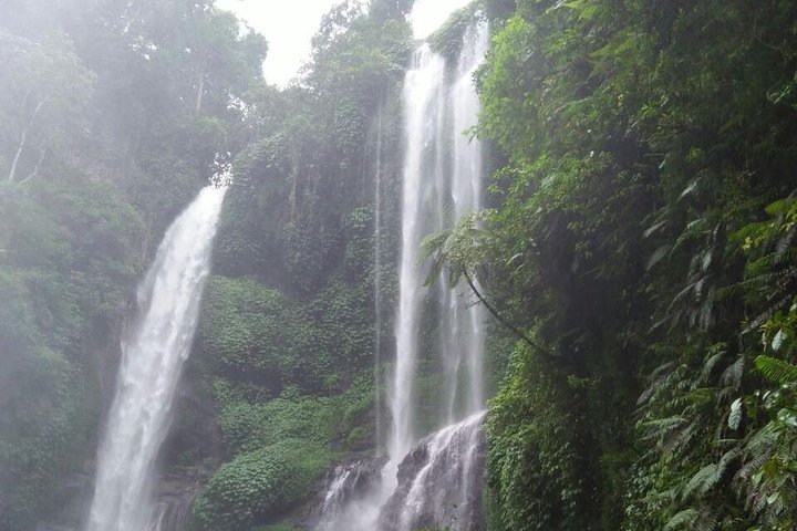 Sekumpul waterfall & aling2 waterfall with private service (including activity) - Image 2