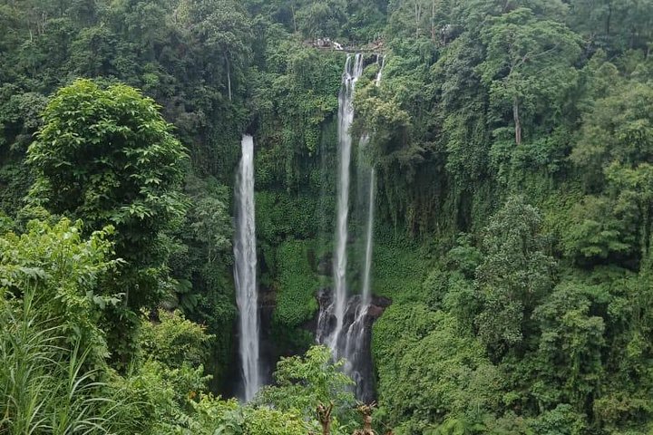 Sekumpul waterfall & aling2 waterfall with private service (including activity) - Image 5