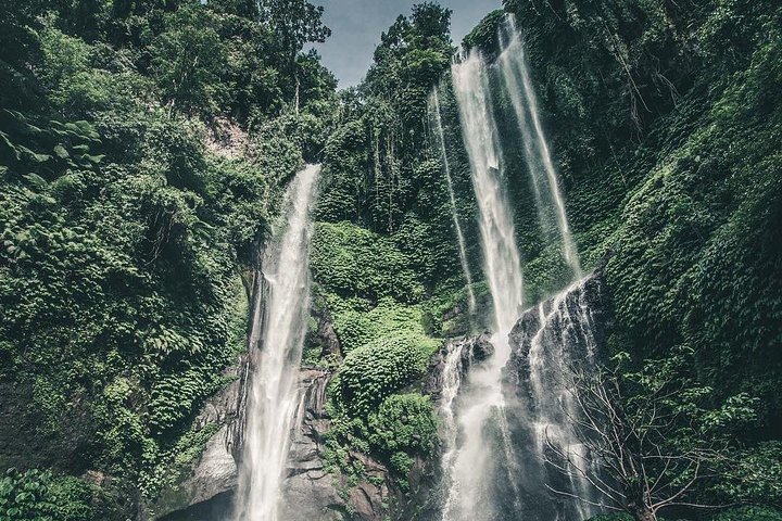 Sekumpul Waterfall Bali Tour  - Image 1