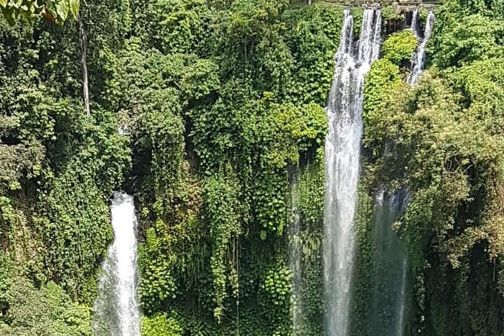 Sekumpul Waterfall Tour with Lunch - Image 3