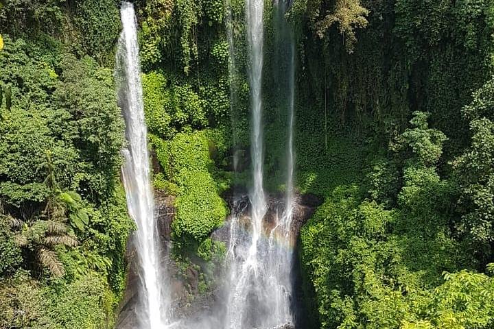Sekumpul Waterfall Tour with Lunch - Image 4