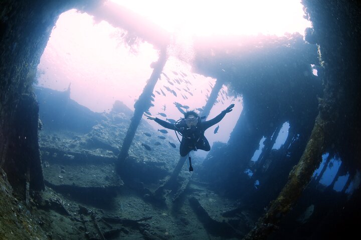 Shipwreck Diving in Tulamben - Image 5