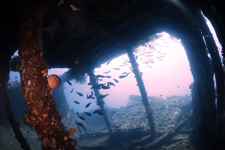 Shipwreck Diving in Tulamben - Image 4