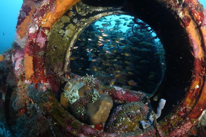 Shipwreck Diving in Tulamben - Image 2