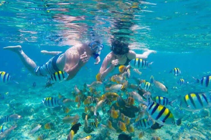 Snorkeling at Blue Lagoon Beach with Lunch and Private Transfer - Image 3