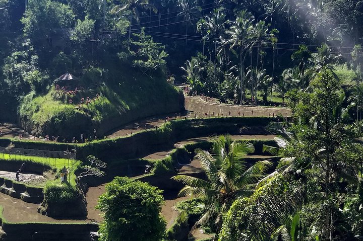Spectacular Eastern Bali Tour - Image 5